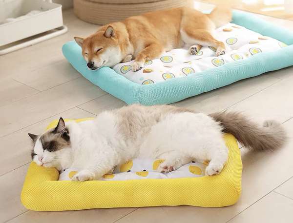 貓貓狗狗四季通用床墊 Cats & Dogs mat for all seasons