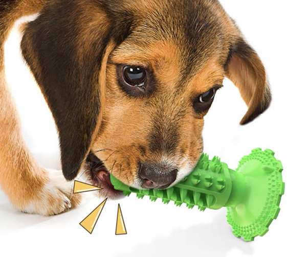環保物料狗狗（防蛀牙、防口臭,減少焦憂刷牙  膠 Eco Tooth  cleaning brush  for dogs  (prevent teeth  decay，bad breath a nd eliminate anxiety) 
