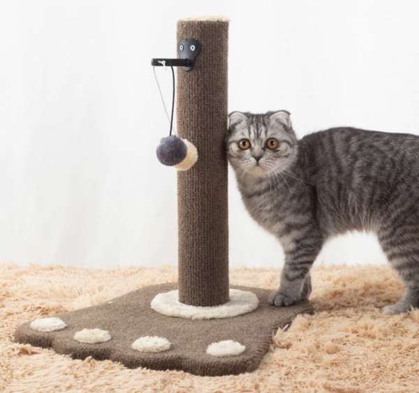 可愛貓抓柱cute cat scratching pole
