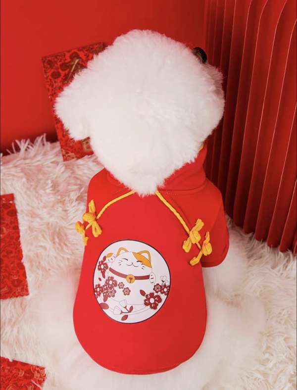 小型犬賀年招財貓衣服 Chinese New Year Good Fortune Costumes for Small Dogs